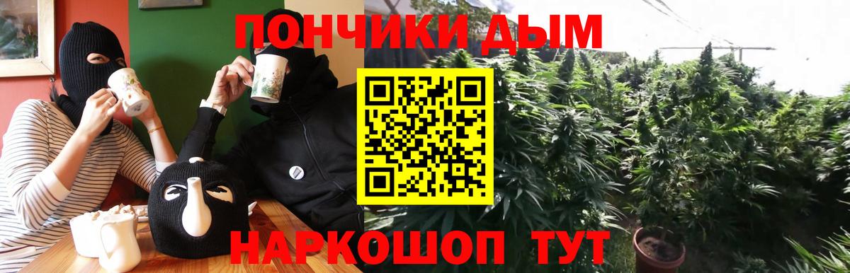 Бошки Шишки марихуана  Вход с VPN  Карачаевск  Шишки марихуана марихуана 